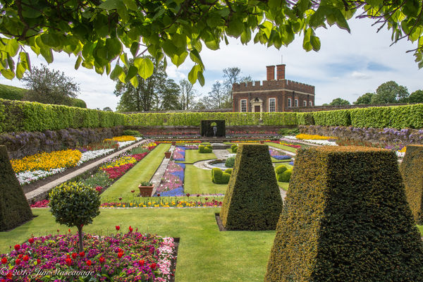 Hampton Court gardens...