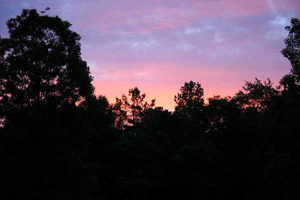 sunrise from my front door...