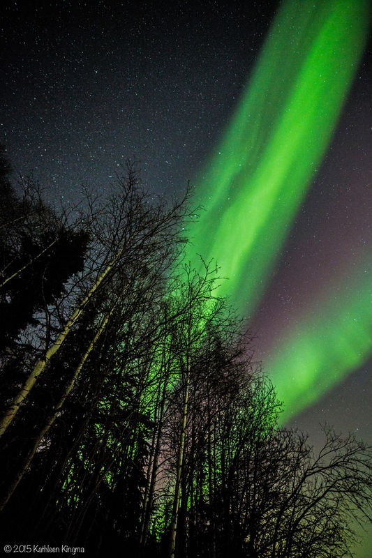 Colors of the night (taken in Fairbanks)...