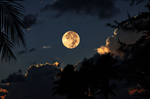 Moon over Jupiter, Florida...