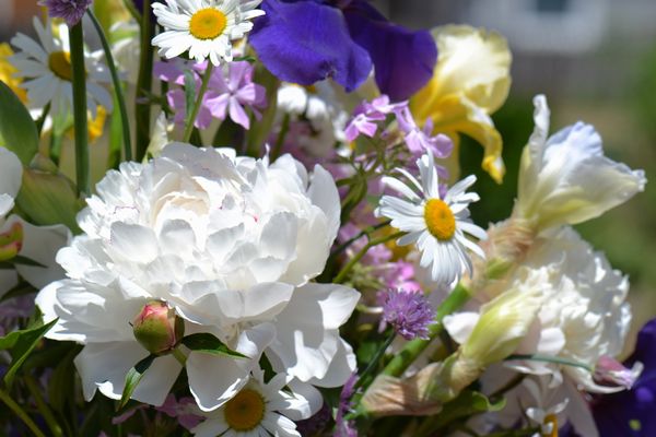 Closeup Floral arrangement 1...