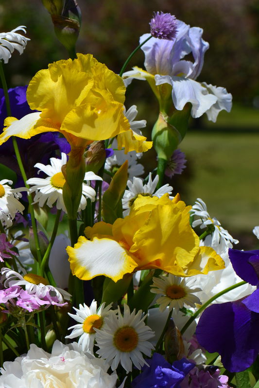 Floral arrangement with Iris...