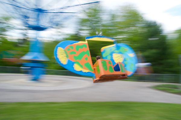 Fish that fly (was trying some "panning")...