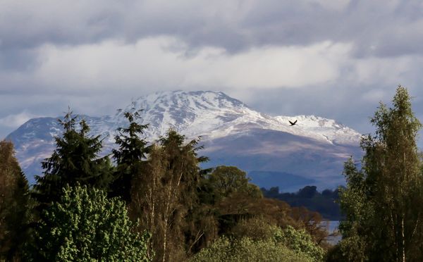 From the balcony looking across to Ben Lomond...