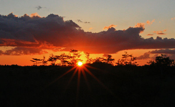 Everglades Sunset...