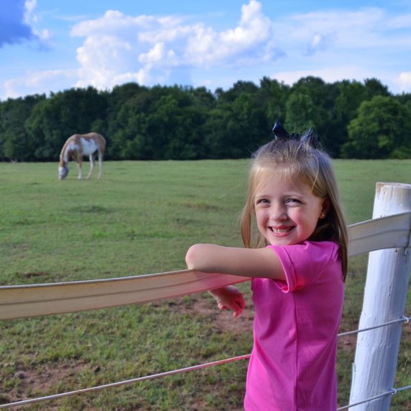 Focused on Ansley ~ blurred the pasture. *didn't n...