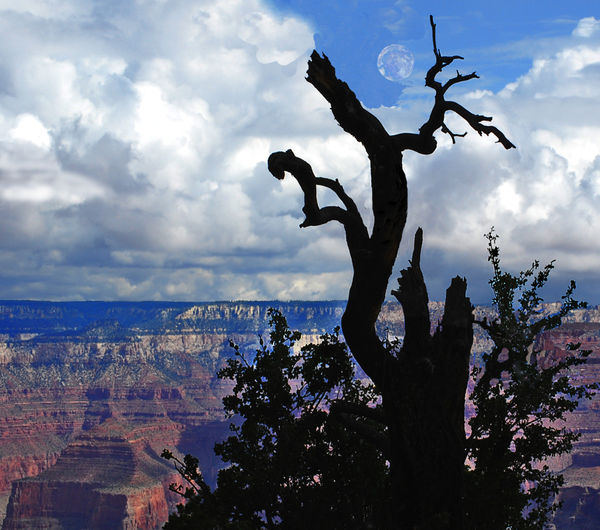 silhouette at the grand canyon...