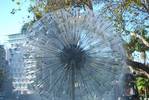 Water Wheel at Hyde Park, Sydney, Australia...