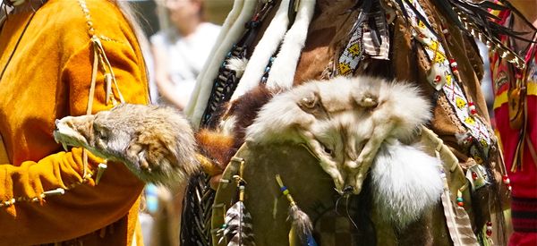 Coyote pelts as part of ceremonial garb...