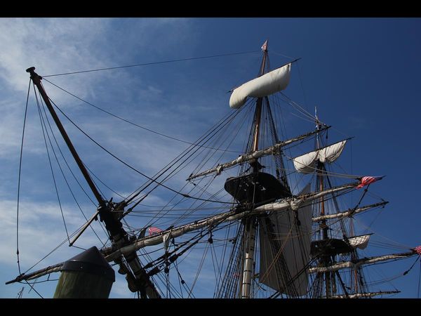 Partial shot of standing rigging...