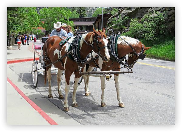Horse and carriage, Estes Park, Colorado....