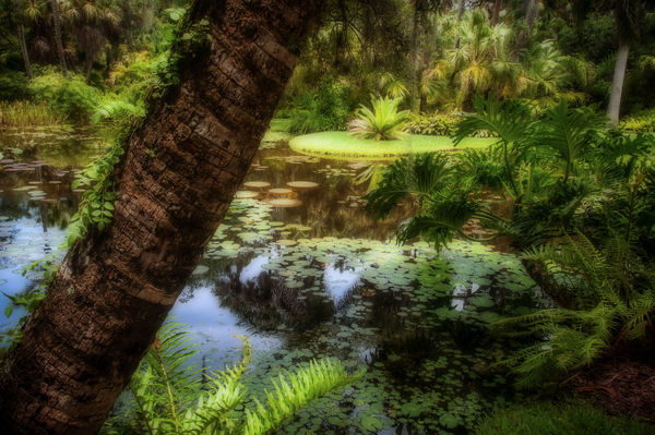Pond in Maine with Orton Effect...