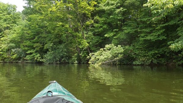 peaceful paddling...