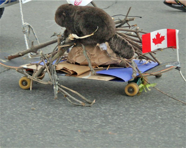Beaver with Canadian flag and blue 'paper' water...