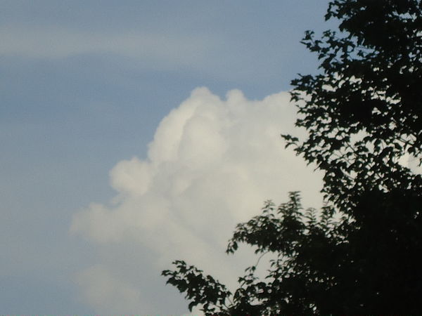 Just a pretty cloud...