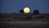 Full moon rising in the Southern Hemisphere - hand...