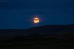 Moon over the moors...