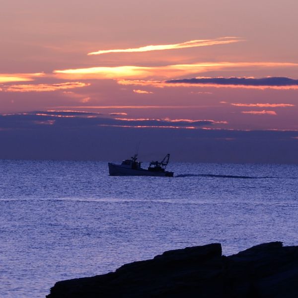Sunrise fishing...