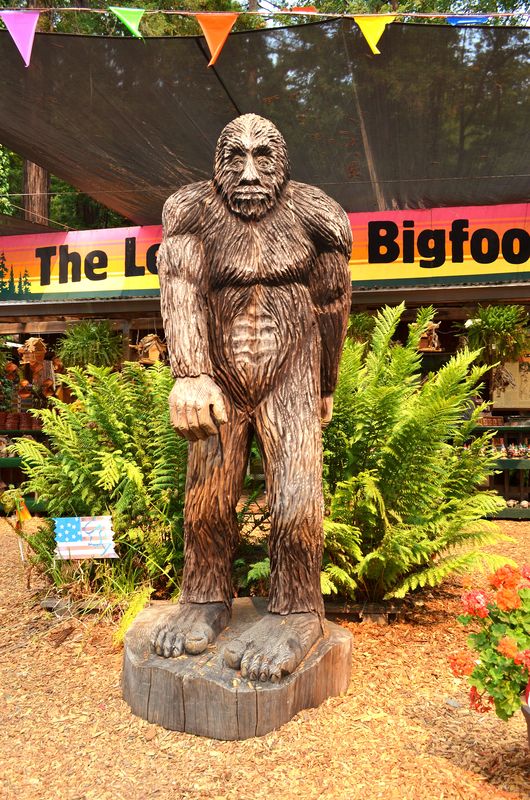 Bigfoot!...
