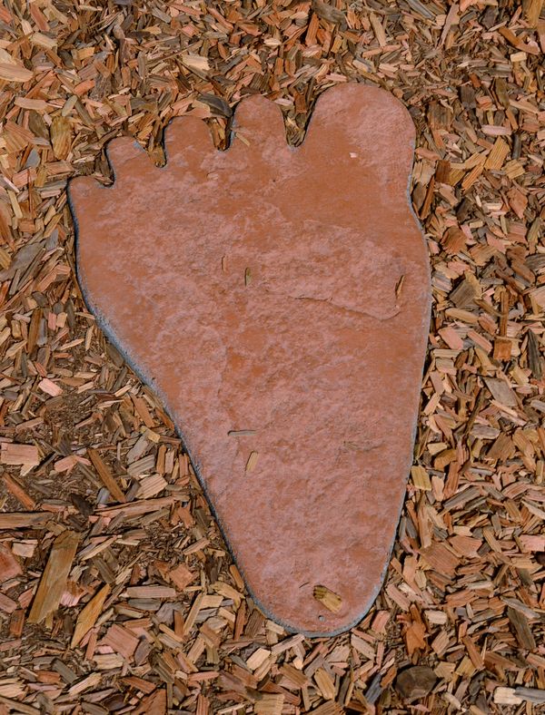 Big foot mold...we were obviously in a Bigfoot reg...