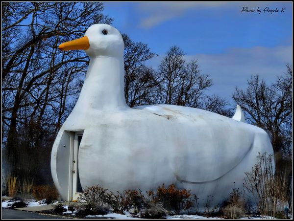 The Big Duck in Flanders NY...