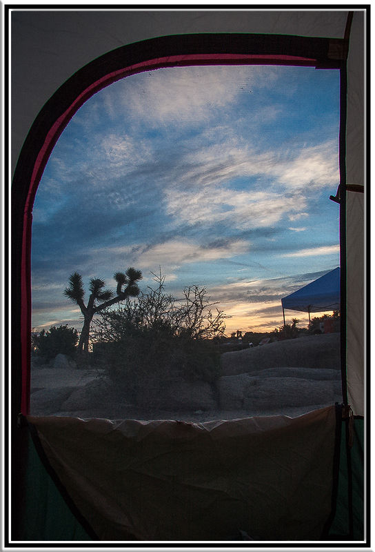 the view from inside my tent Wednesday morning...
