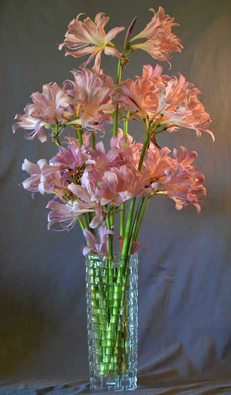 Bouquet of Lilies for bank 1...