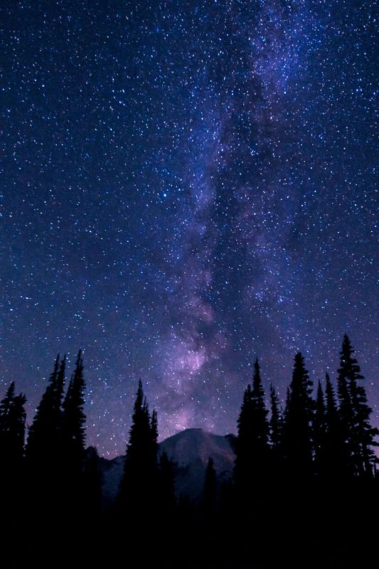 The Milky Way rising over Mt. Rainier...