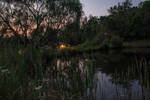 my pond at twilight. 3sec f/16...