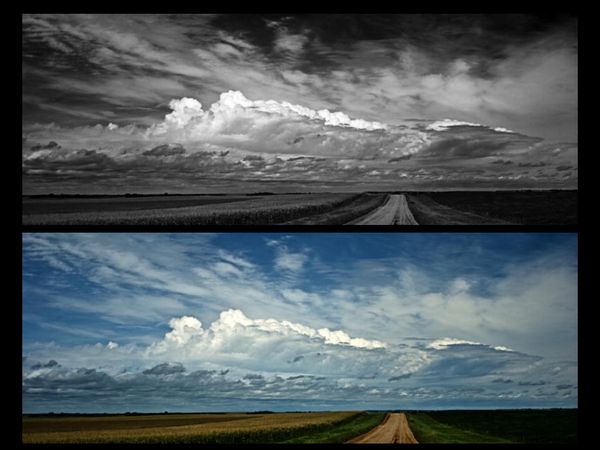 Color vs. B&W - cropping options?...