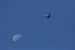 Flying at 8:15 this morning -"Too The Moon & Back"...