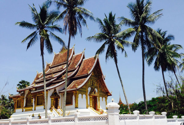 One of many temples in Luang Prabang...