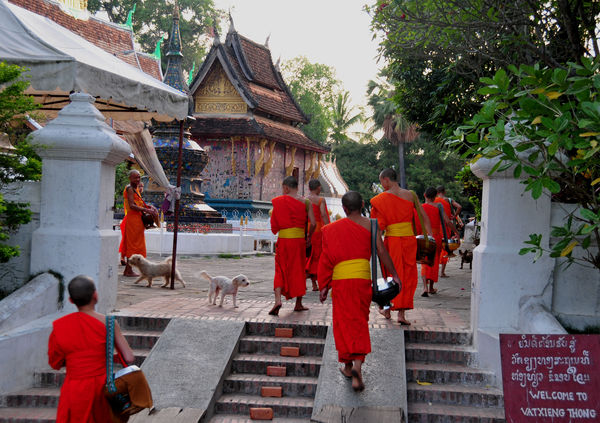 Monks returning from their daily "food run"....