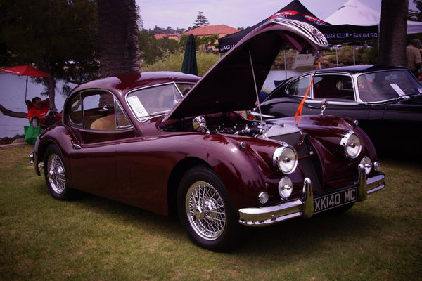 1955 Jaguar...