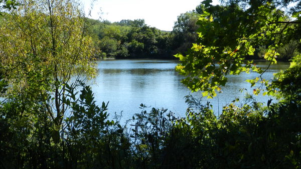 Just a pretty view of the Lake Galena...