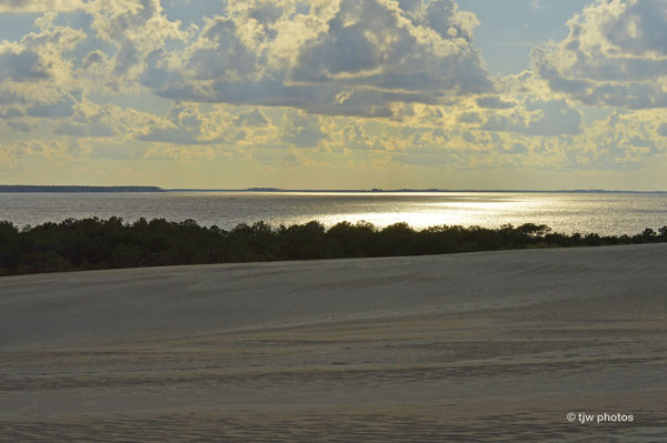 View From Top of Dune...