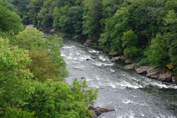 Ohiopyle rapids...