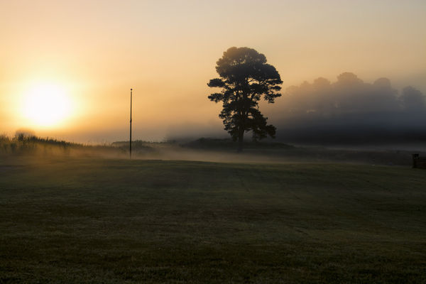 Sunrise on the Battlefield, a foggy morning on the...