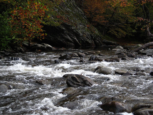 On the way to Cades Cove 2007: These were taken along the road going ...