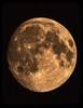 moon over Mendocino, ca...