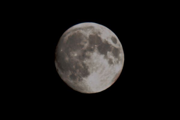 #2 Shot with the 400mm (not 35mm as the EXIF sugge...
