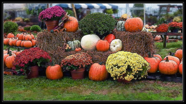 Fall arrives with its own distinctive color palette: This is a pretty ...