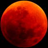 Blood Moon through an 8" SCT. The extra 14% of the...