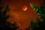 Blood Moon, Bloody Sky...