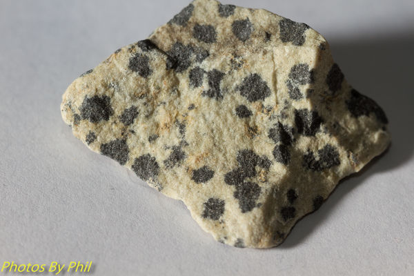 Dalmation - dark spots on light grey Quartzite, na...