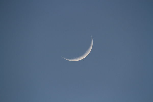 Crescent early evening moon...