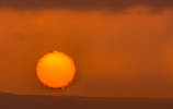 African Sun- that's the way it looks: alive and fo...