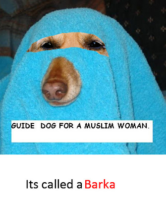 Can even get a burka for it!!...