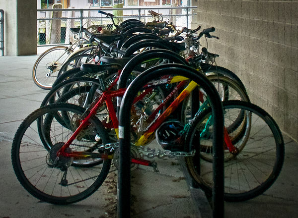 Rows of bicycle "circles"...