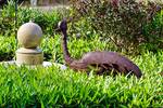 A metal bird sculpture and fountain in my garden....